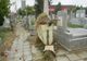 Craniu găsit într-o găleată, într-un cimitir din Timișoara. Administrația a trimis un angajat și l-a luat într-o pungă