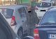 Acțiune anti-cerșetori, la Timișoara