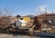 O nouă acțiune pentru verificarea proprietarilor de câini, sancțiuni în valoare 11100 lei aplicate pe Aleea Viilor și Armoniei 