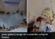 Șoareci, gândaci și mucegai, în cantina unui liceu din Timișoara - VIDEO