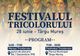 MARȘUL TRICOLORULUI UNEȘTE PATRIOȚII LA TÂRGU MUREȘ: EVENIMENT DE MÂNDRIE NAȚIONALĂ